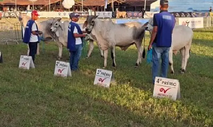 56ª Expapi termina com sucesso de público e negócios em Campina Grande