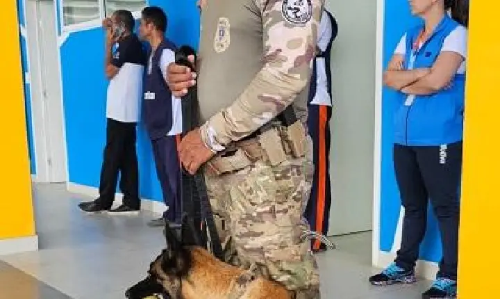 ABRIL LARANJA: Polícia Civil promove ação educativa contra maus tratos a animais em Campina Grande