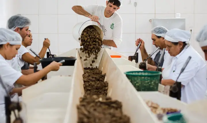 Consulta sobre bens sustentáveis no acordo Mercosul–UE acaba na quarta