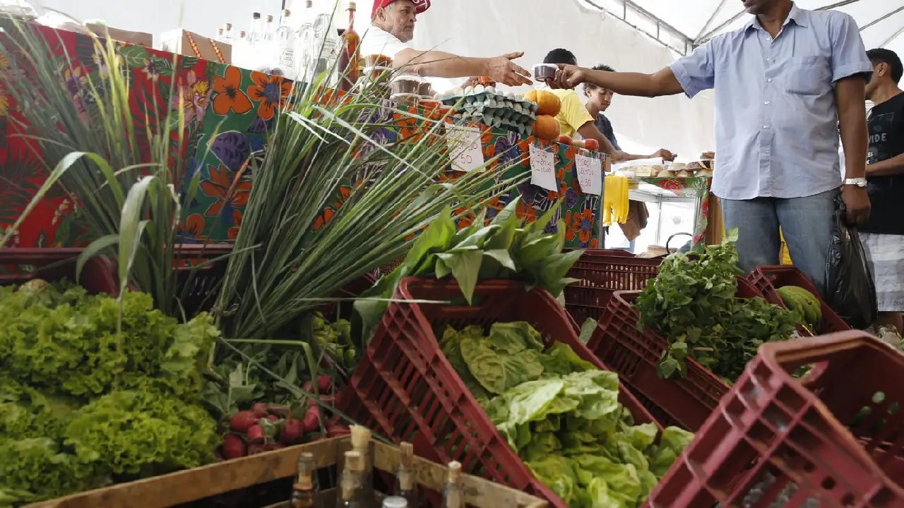 Decreto adia exigência de CNPJ para autônomos e produtores rurais