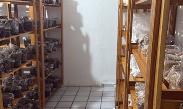 PF faz operação contra grupo suspeito de criar 'empresa virtual' para vender drogas na PB e RN