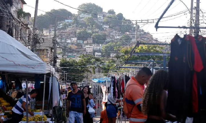 Prazo para envio da declaração anual do MEI termina neste domingo