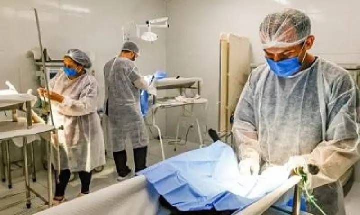 Prefeitura inscreve para nova edição dos ‘Sábados da Proteção Animal’