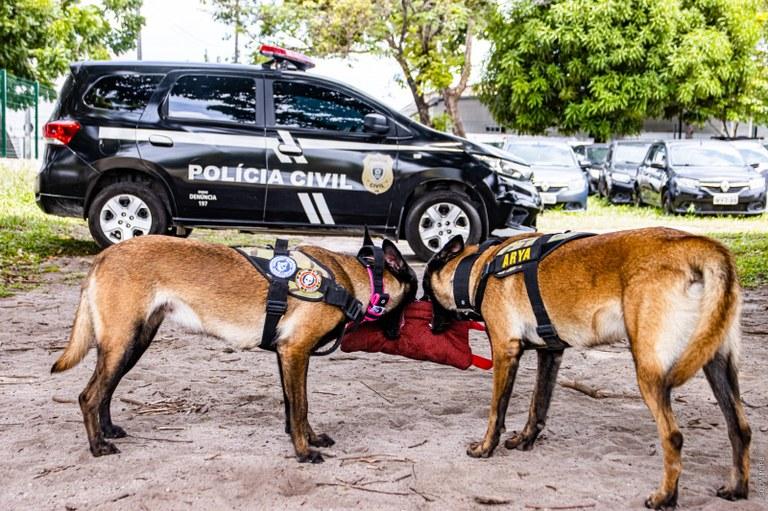 Delegado-Geral recebe policiais para anunciar implantação de Canil na Polícia Civil da Paraíba