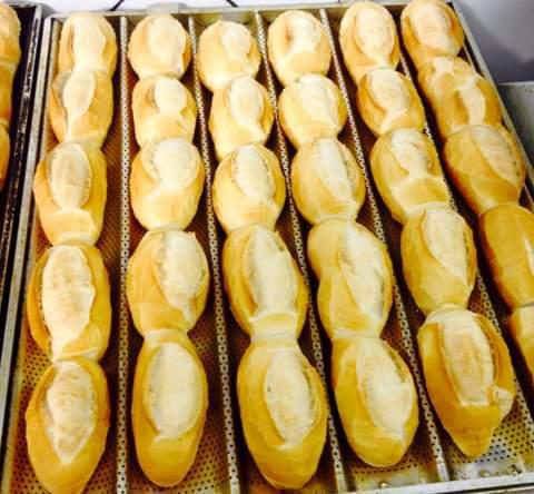 Preço do quilo do pão francês oscila entre R$ 9,50 e R$ 20,90 nas padarias da Capital, registra Procon-JP