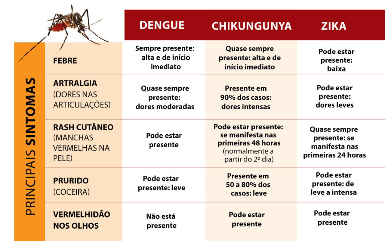 Saúde divulga novo boletim com mais de 6.900 casos prováveis de dengue, zika e chikungunya em 2023