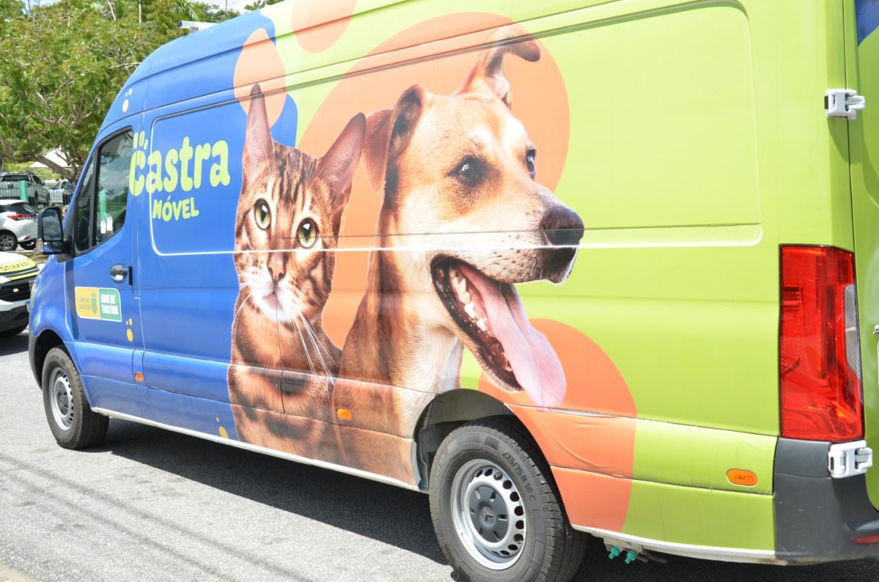 Campina Grande: Centro de Zoonoses abre agendamento para castração de animais nesta quarta-feira