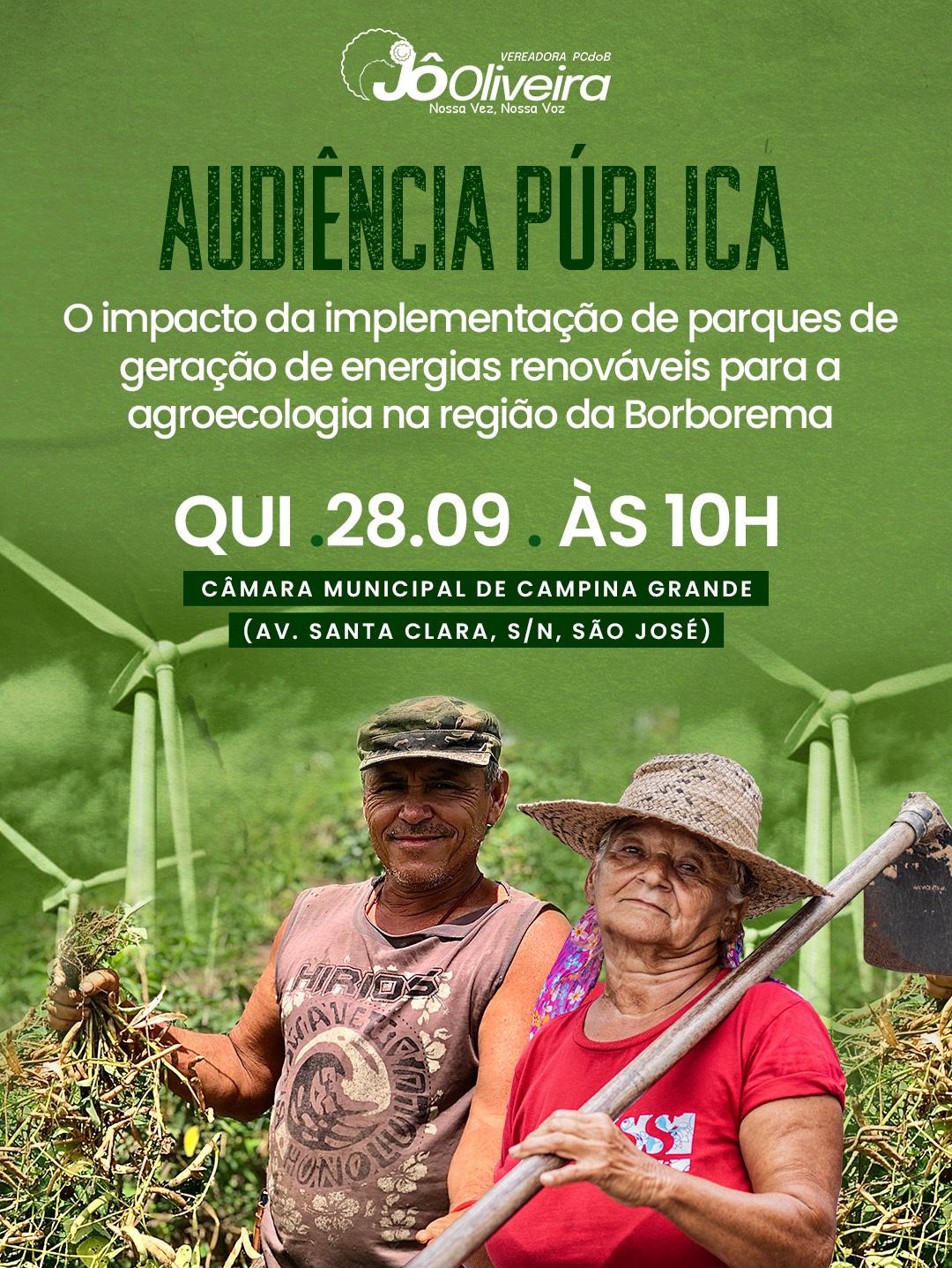 Jô Oliveira realiza audiência pública para debater os impactos da instalação de parques de geração de energias renováveis
