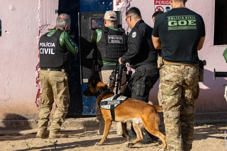 ACADEPOL: Policiais concluem treinamento para operar com cães em ações operacionais.
