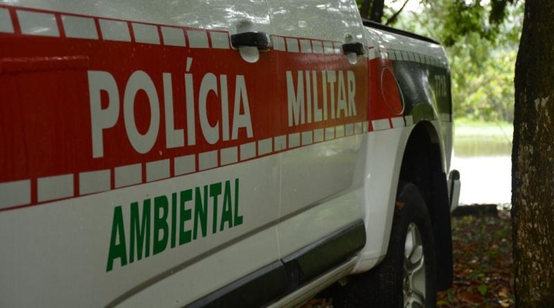 Em nova ação de combate a crimes ambientais, Polícia Militar desarticula rinha de galos, apreende animais e aplica quase R$ 30 mil em multas