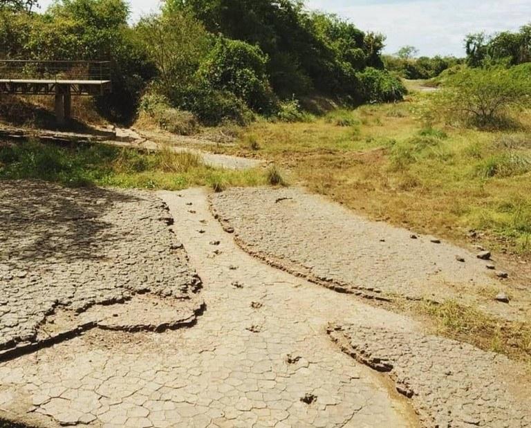 Jardim Botânico e Vale dos Dinossauros abrem para visitação no Dia de Finados
