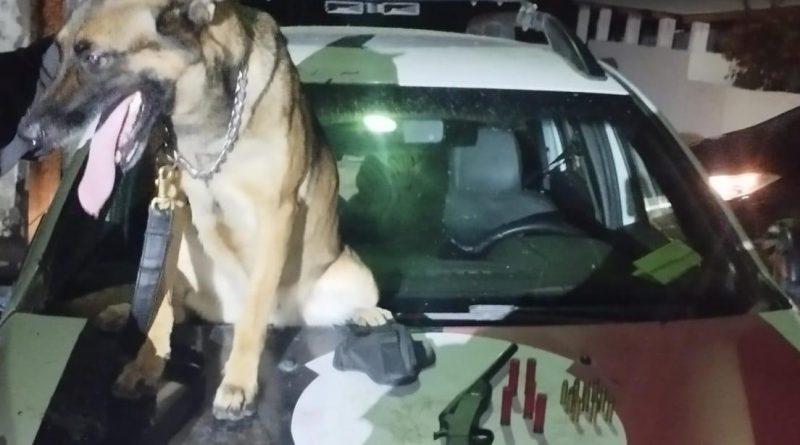Com ajuda de cão farejador, Polícia Militar apreende arma em local de difícil acesso em Santa Rita