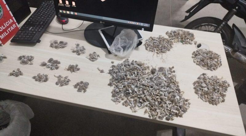 Polícia Militar prende dupla suspeita de tráfico com mais de 1 mil embalagens de drogas em Uiraúna