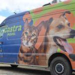 Castramóvel da Prefeitura de Campina Grande inicia atendimento na Ramadinha na próxima segunda