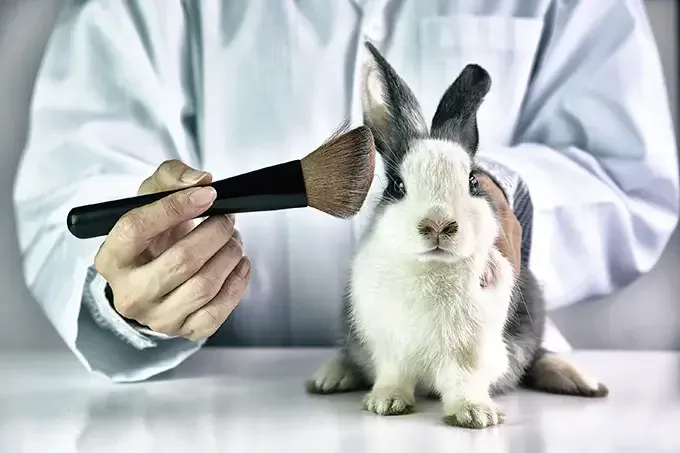 É proibido usar animais para testes de produtos cosméticos em JP
