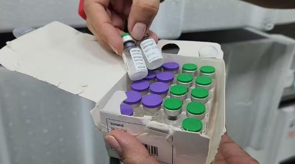 Vacinação contra dengue: saiba quando começa campanha nas cidades da Grande João Pessoa