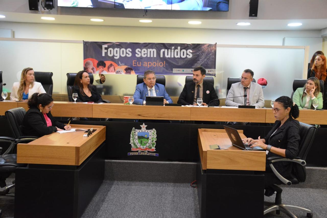ALPB debate projeto que proíbe venda de fogos de artifício com estampido na Paraíba