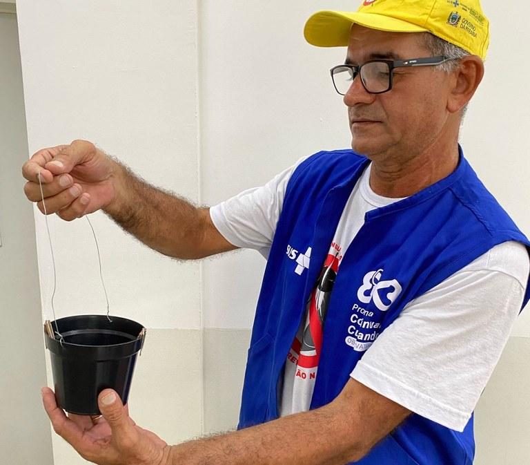 Combate à dengue: Saúde recomenda armadilhas ovitrampas no controle dos focos do mosquito Aedes Aegipty