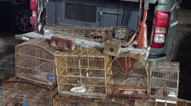 Operação apreende armas e resgata animais silvestres em Juarez Távora e Gurinhém