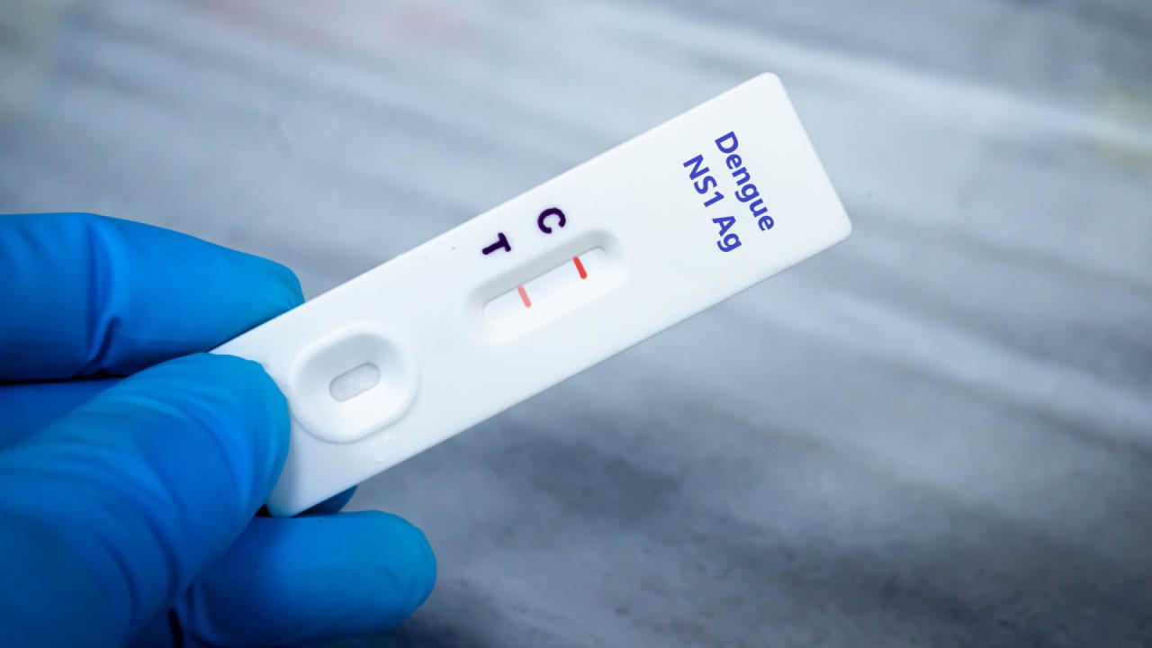 Brasil tem quase 4 milhões de casos prováveis de dengue