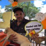 Centro de Zoonoses realiza novo evento de adoção de animais no próximo sábado