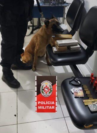 Com auxílio da cadela Dori, Polícia Militar apreende drogas e munições