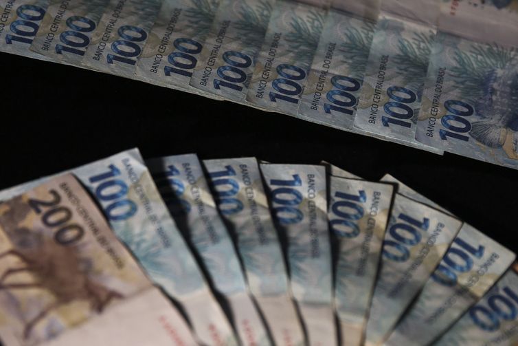 Vendas do Tesouro Direto têm recorde com R$ 8,76 bi em investimentos