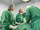 Central de Transplantes registra oitava doação de múltiplos órgãos em 2025 e cinco pessoas saem da lista de espera