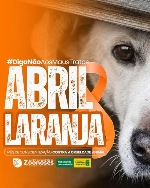 Centro de Zoonoses de Campina Grande lança campanha Abril Laranja para conscientização e prevenção da crueldade contra animais