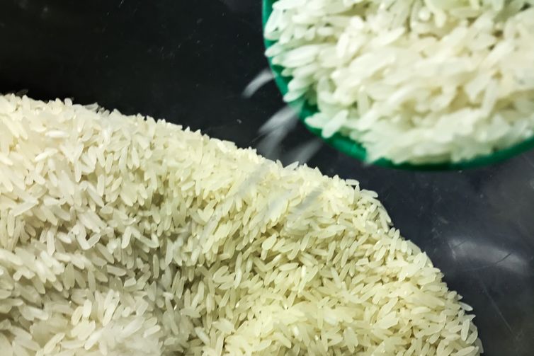 Conab anuncia R$ 300 milhões para produtores de arroz na safra 2025/26