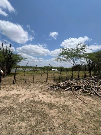 CRIME AMBIENTAL: Polícia Civil prende homem acusado de destruir vegetação nativa e derrubar árvores em Campina Grande