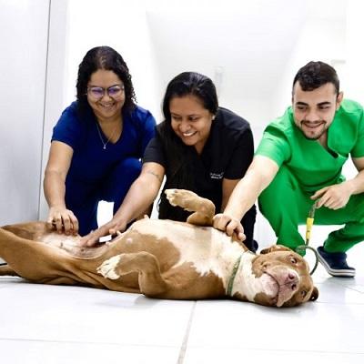 Prefeitura de João Pessoa e o olhar sobre a Saúde Única, onde manter sociedade e animais em harmonia é a palavra de ordem