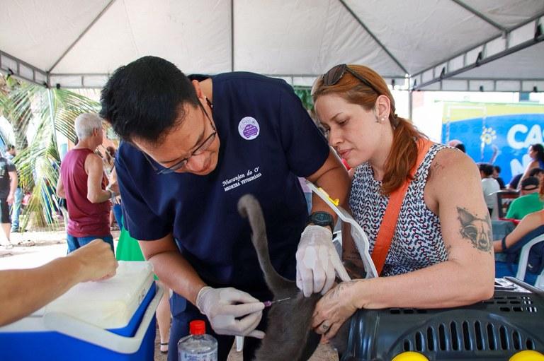 Fevereiro Roxo: Paraíba realiza primeiro Dia D de Cuidados para pets idosos